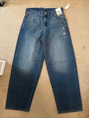 NWT Hailey Bieber Extra Baggy 24 Gap Jean